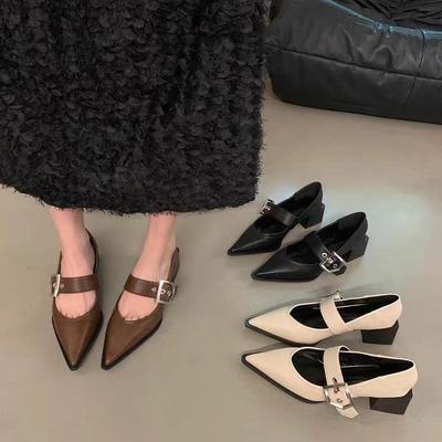 Ретро остроносые туфли Мэри Джейн из маленькой кожи женские весенне-осенние новые на толстом каблуке, среднем каблуке, туфли-лодочки