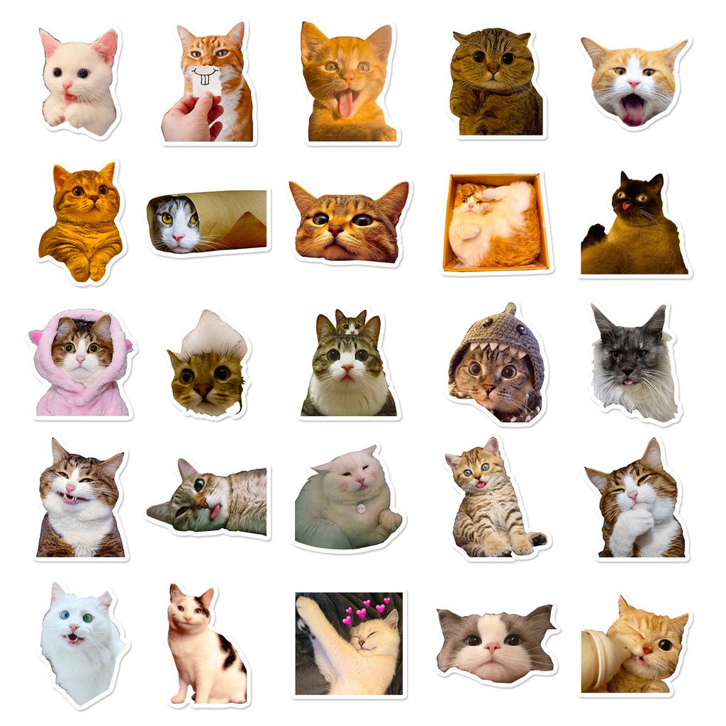 50 Реалистичных наклеек с котятами Милые кошачьи выражения Креативные декоративные наклейки для чашки для воды, блокнота, ручного учета