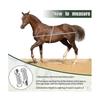 Horse Height Weight Tape Horse Measuring Tape Pvc Horse Measuring Stick Livestock Body Measuring To - RiRi