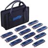 East Top 12-Piece Blues Harp Set, 10 Holes, 20 Tones, Brass Cover, Canvas Case, and Cleaning Cloth, for Beginners, Professionals, and Study/Practice,