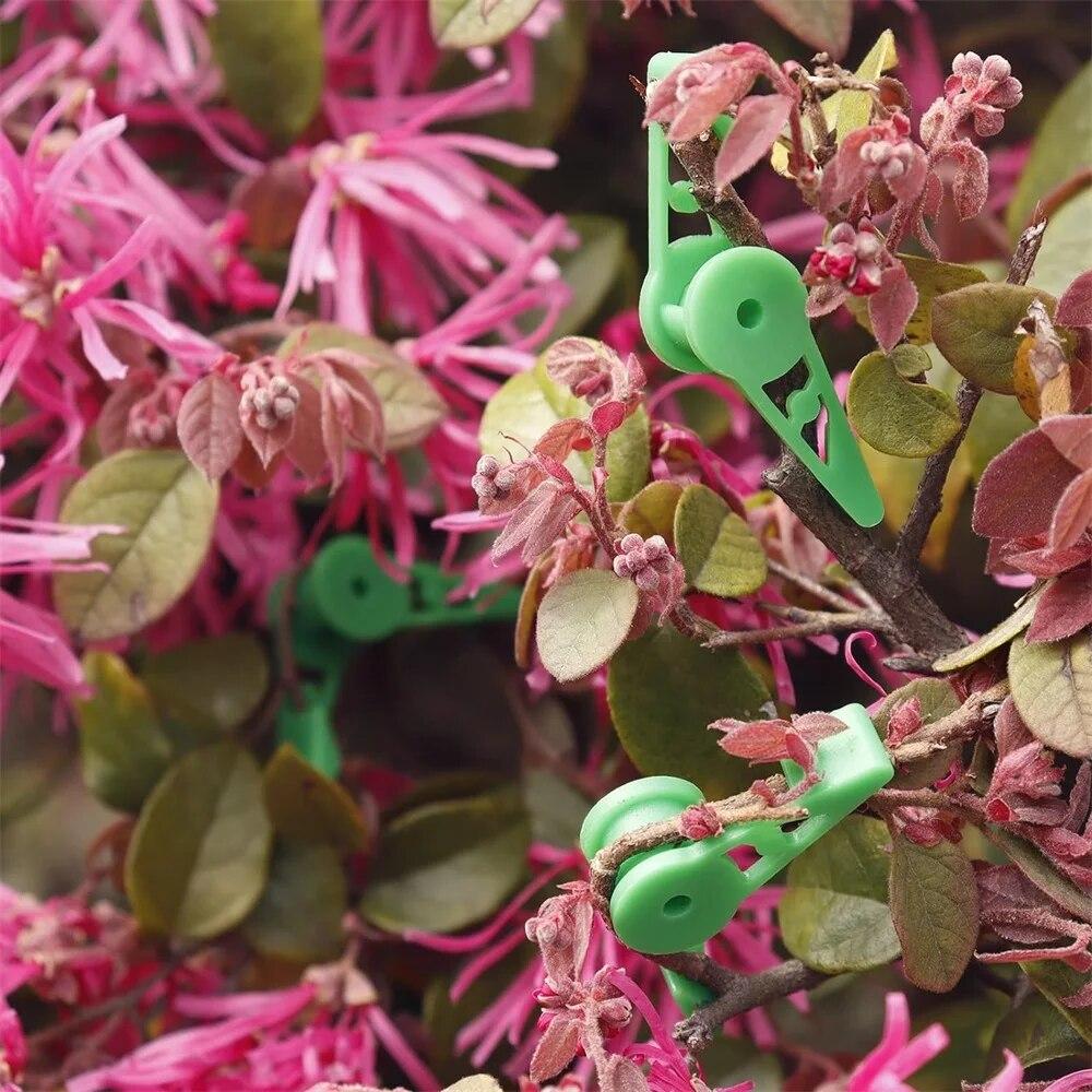 10 шт./компл., зажимы для гибки ветвей растений, садовые зажимы для стебля, регулируемый держатель для растений на 360 градусов