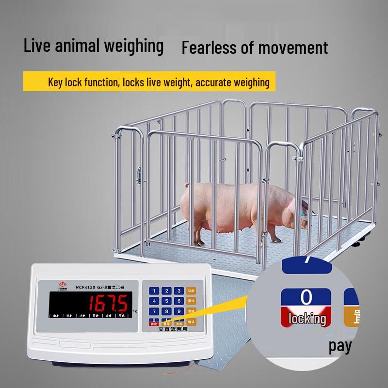 Wireless Industrial Digital Platform Scale (CN version)