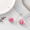Creative Dried Flower Cherry Drop Earrings For Women