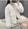 Coat European and American Fashion Women's Imitation Fur Women's Imitation Fox Hair Fur Coat New Slim Short Splicing Jacket Fur One Furry Coat Female