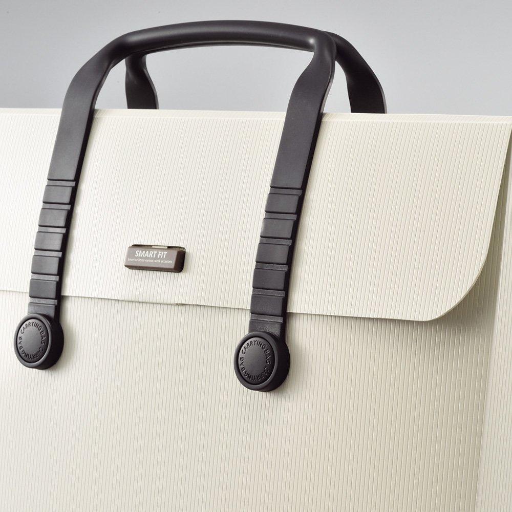 Lihit Lab Carrying Bag A3 Black A7631-24