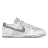 Dunk Low SE Winter Storm Unisex Sneakers White Summit-White Glacier-Ice HQ3619-121