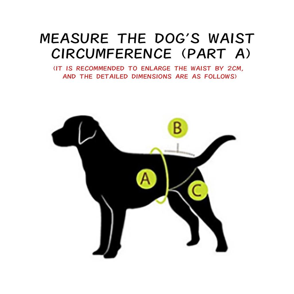 Pet Dog Health Physiology  Menstrual Physiological And Sanitary Pants