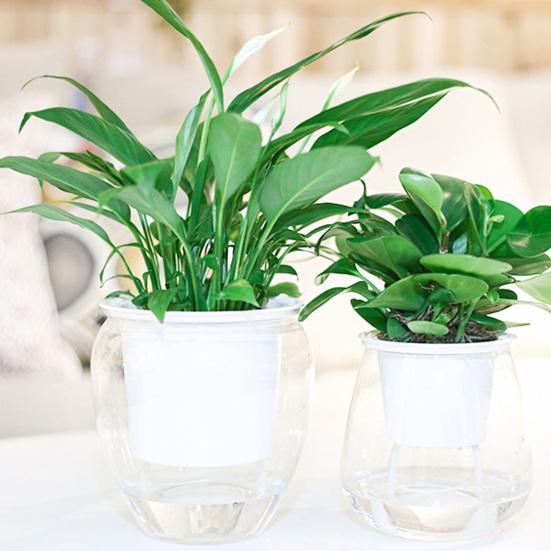 Полезный контейнер Прозрачный Удобный Самополивающийся Цветочный Горшок Вода