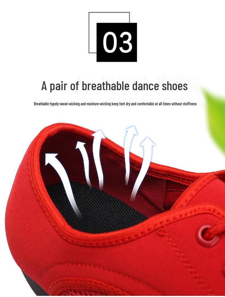 Женские профессиональные туфли для латиноамериканских танцев – Мягкая подошва, Плоский каблук, Оксфордская ткань