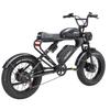 MEELOD DK300Max Adult Electric Bicycle 750W Motor 48V20Ah Battery  20" Fat Tire Retro with Dual Motor and Dual Batter Mountain  E-Bike