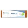 Himalaya Xylitol Toothpaste, Mint Flavor, 113g (4oz)