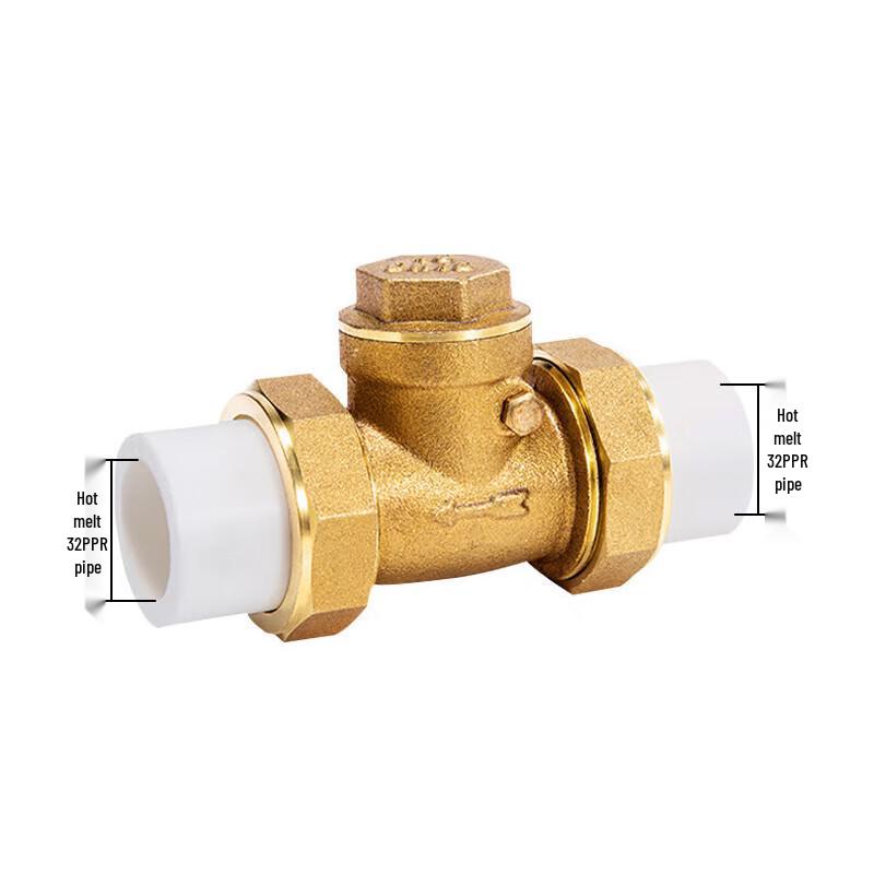 PPR Brass Hot-Melt Horizontal Check Valve