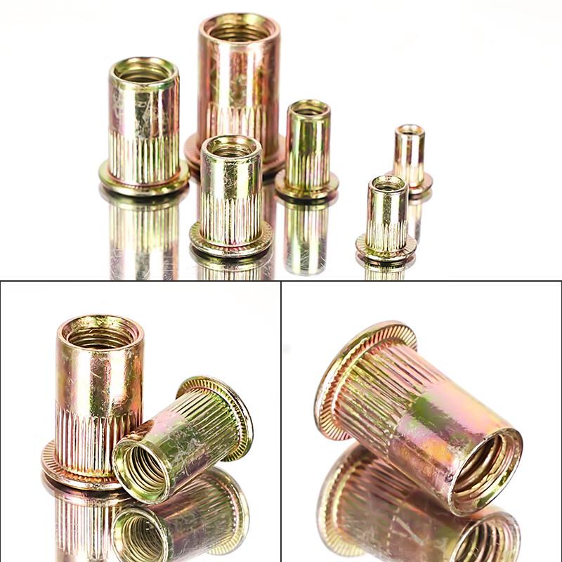 Carbon Steel Rivet Nut Assortment Kit