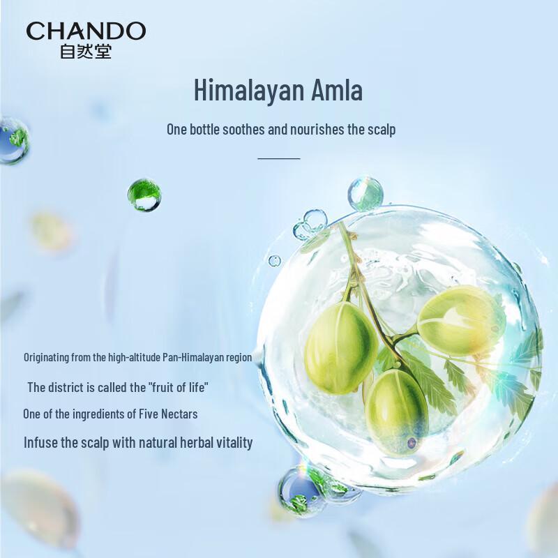 CHANDO Oil Control Fluffy Shampoo