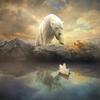 Full 5D Diy Diamond Painting Polar Bear Landscape Embroidery Cross Stitch Home Decor Handmade Gift