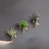 Iron Vases Ins Style High Aesthetic Value Living Room Wall Decorations Hydroponic Flower Pots Creative Home Wall Decorations