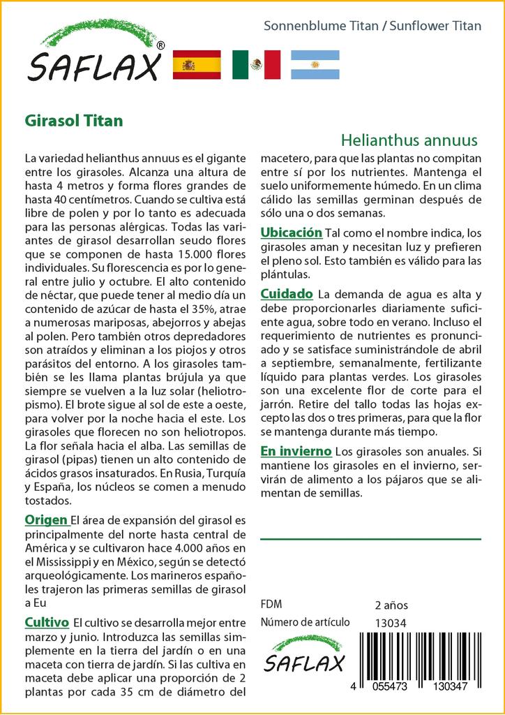 SAFLAX Подсолнечник Титан - 20 семян - Helianthus annuus