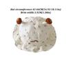 Cotton Baby Bonnet Sun Protection Baby Sun Hat Cute Fisherman Hat  Spring Summer