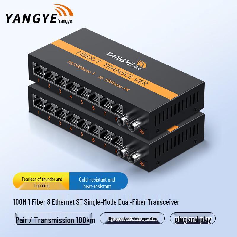YANGYE 100Mbps Single-Mode Dual Fiber Media Converter