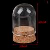 1/6 Doll Glass Dome Display Wood Cork Bell Jar With Wooden Base Decoation Craft