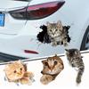 3D Cat Cat in The Crack Наклейка Animal Styling Animal Styling Наклейки Car-Styling