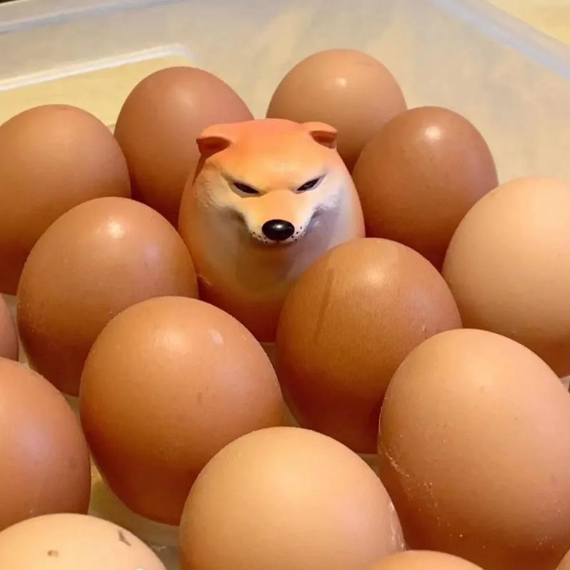 Creative Shibako Dog Egg Squishy Fidget Toy Realistic Egg Shape Desk Decor Shiba Inu Dog & Egg Union PU Slow Rebound Sensory Toy