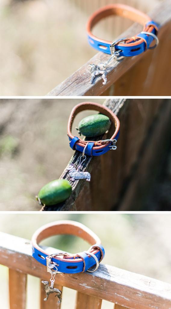 Миниатюрный пинчер Сделано в Англии Коллекция Art Dog Zip Pull (Глава)