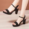 Ankle Strap Square High Heels Women Summer  Roman Sliver Gold Sandals Large Size Thick Platform Shoes For Female A0027