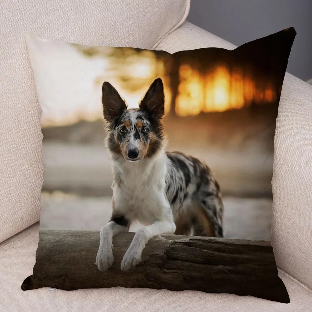 Soft Plush Cute Pet Animal Cushion Cover Scotland Border Collie Pillowcase for Sofa Car Decor Dog Printed Pillow Case