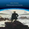 Frankenstein by Mary Shelley Paperback Book 9780486282114