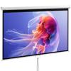 Projection Screen, 100-Inch 16:9 4K, Wall or Ceiling Mount