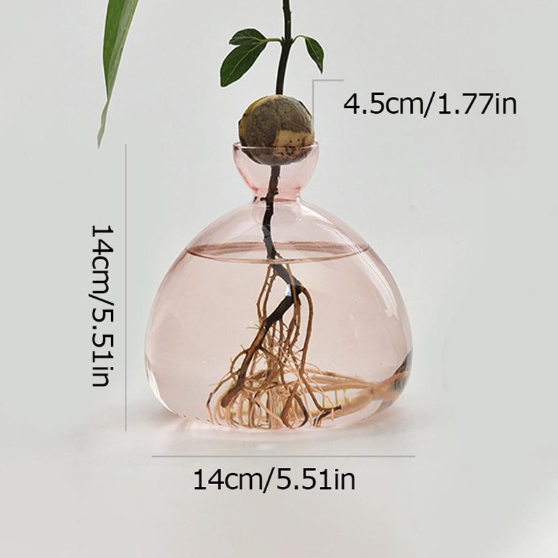 1шт набор для выращивания семян подарок для любителей садоводства домашний декор прозрачная стеклянная ваза