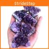 Natural Amethyst Quartz Geode Druzy Crystal Cluster Healing Decor Specimen