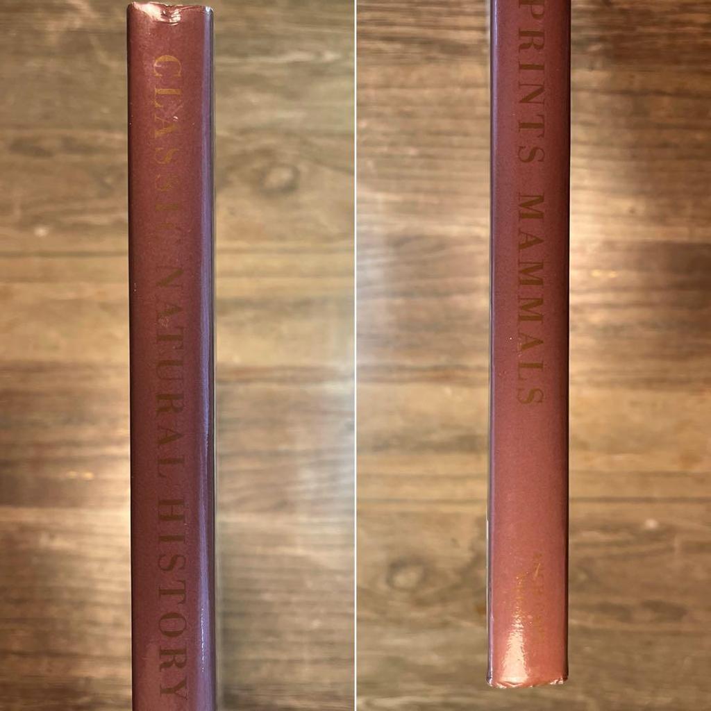 [Б/У] КЛАССИЧЕСКИЕ ПРИНТЫ ПО ЕСТЕСТВЕННОЙ ИСТОРИИ МЛЕКОПИТАЮЩИЕ