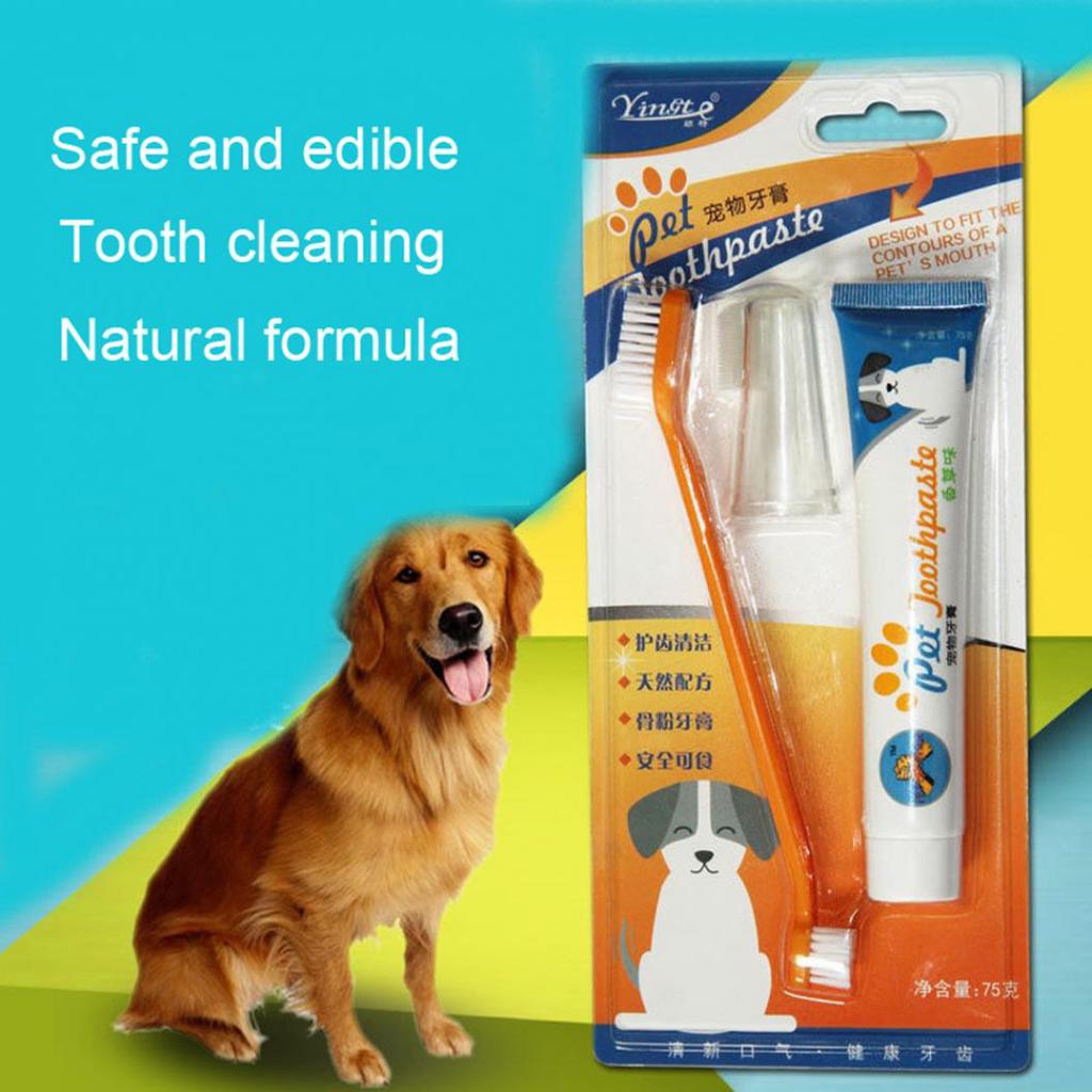 Pet Dog Cat Vanilla/Beef Flavor Toothpaste Toothbrush Oral Hygiene Health Care