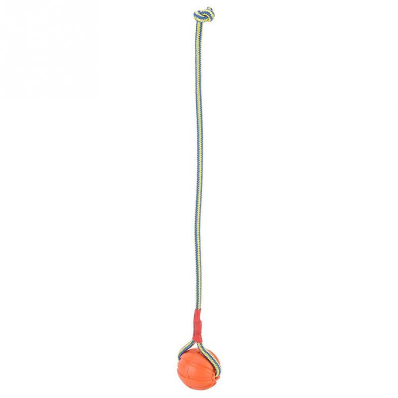 6cm Portable EVA Pet Dog Training Bite Resistant Interactive Chew Toys Ball with Carrier Rope