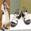 Босоножки на платформе и высоком каблуке женские летние новые европейские и корейские темпераментные повседневные туфли с круглым носком модные римские женские туфли оптом