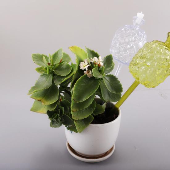 Самополивающиеся колбы Дизайн ананаса Шары для полива растений Вставка для кашпо Автоматическое устройство для полива для комнатных и уличных горшечных растений