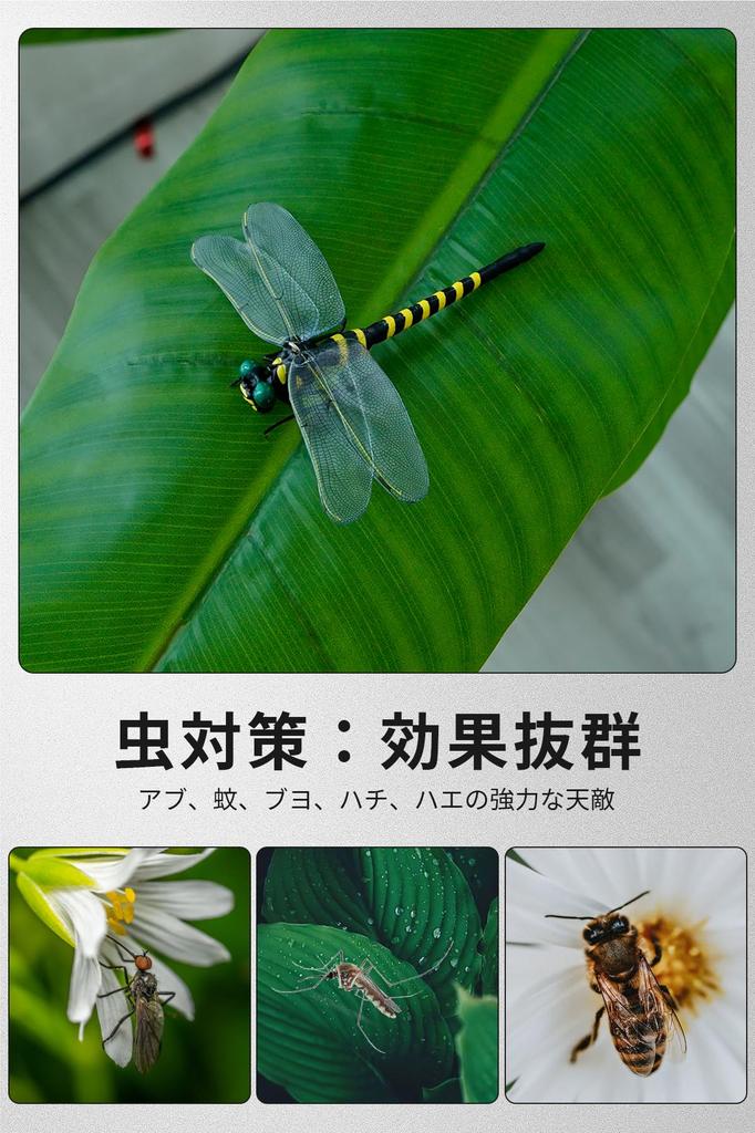 HG CHASING TRIBE Insect Genuine Real Set of Bee Repellent Insect Repellent Safety Stretchable Mountain Interior Pieces and Oniyanma-kun Repellent,
