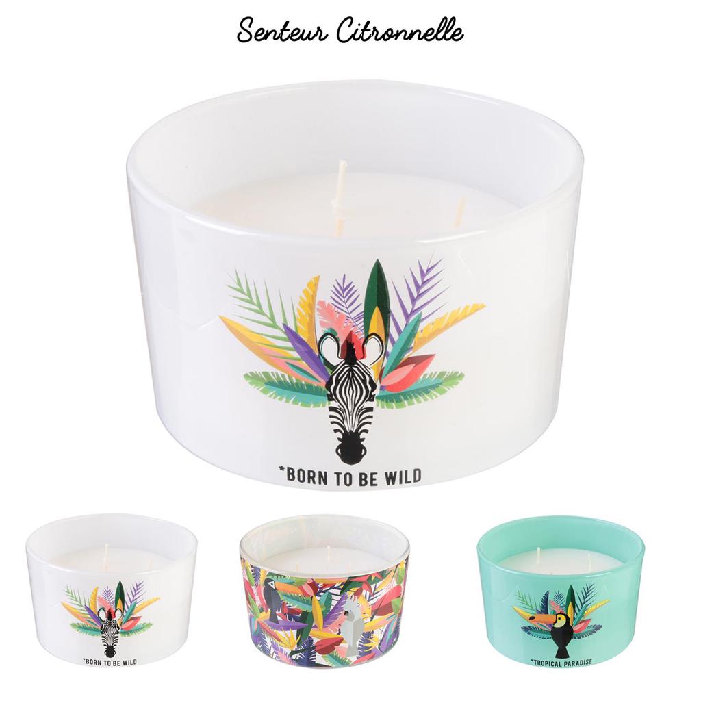 Les Trésors De Lily [Q7708] - White 'Tropical' Decorative Candle (Zebra - Born To Be Wild) 3 Wicks - 13x8. 5cm