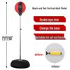 Pan Zhijian Professional Standing Boxing Speed Bag