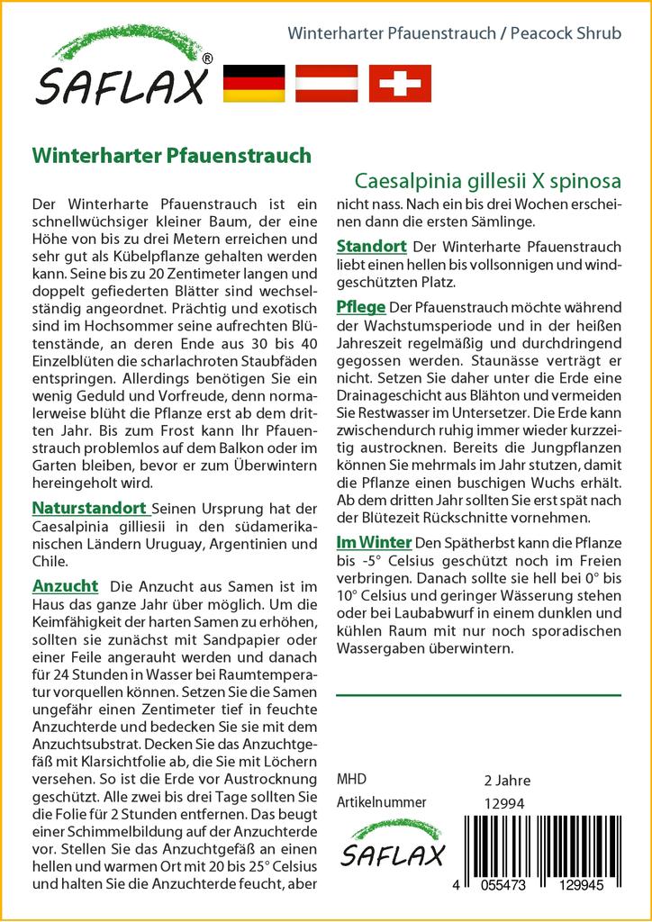 SAFLAX Подарочный набор - Куст павлина - 10 семян - С подарочной коробкой, карточкой, этикеткой и субстратом для горшков - Caesalpinia gillesii