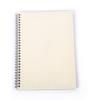 A5/B5/A4 Spiral Coil Notebook Horizontal Grid Blank Notepad Frosted Student Diary Sketchbook School Supplies Stationery