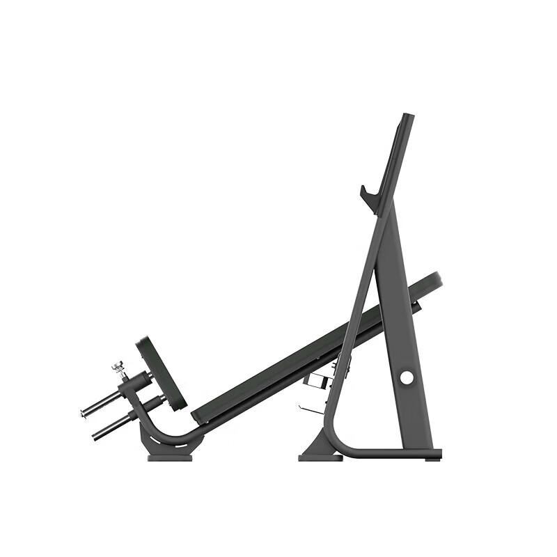 Shua Professional Commercial Fitness Equipment Series
