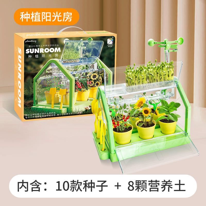 Xueyouma Sunshine House Planting Детские игрушки для овощей Научный эксперимент Растение в горшке Ручная работа Материал для поделок Растение Цветочный дом