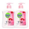 Dettol Moisturizing Care Hand Wash