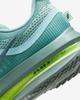 HQ2592-009 Nike Pegasus Premium Cannon (Мужской)