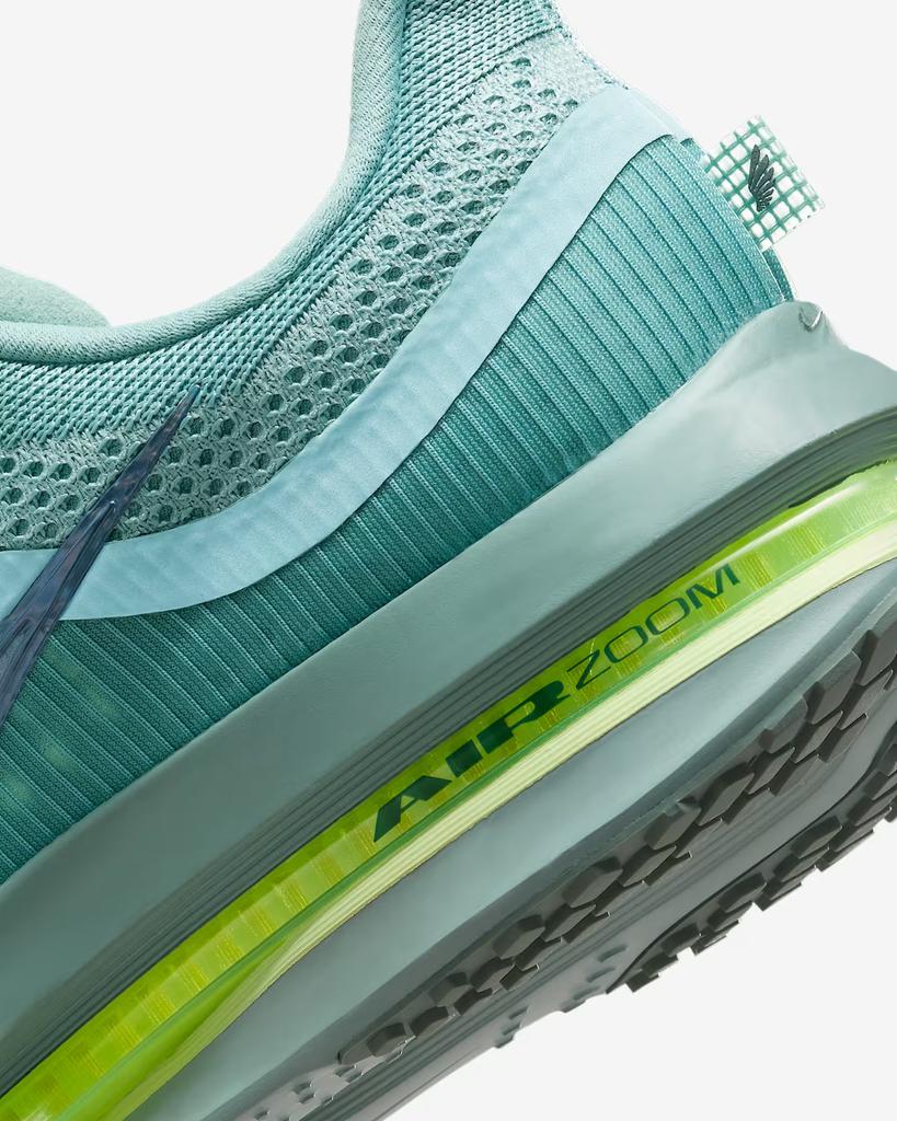 HQ2592-009 Nike Pegasus Premium Cannon (Мужской)