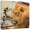 Canvas Print Africa Lion Animals