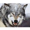 Frame Painting By Numbers Kits Wolf Animals Diy Crafts Picture With Numbers Acrylic  Painting For Home Decors 40x50